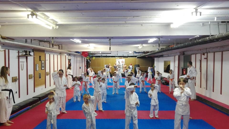 Prihvaćen vrhunski projekt Karate Kluba Sosai!