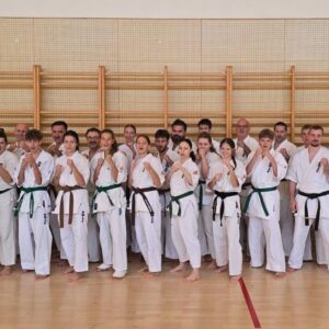 SUDAČKI SEMINAR ODBORA ZA KYOKUSHIN KARATE SUDAČKI SEMINAR ODBORA ZA KYOKUSHIN KARATE