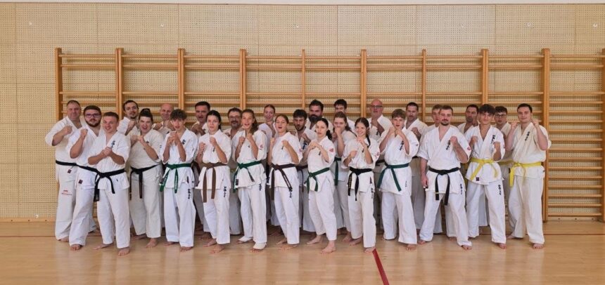 SUDAČKI SEMINAR ODBORA ZA KYOKUSHIN KARATE SUDAČKI SEMINAR ODBORA ZA KYOKUSHIN KARATE